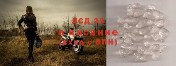 ПСИЛОЦИБИНОВЫЕ ГРИБЫ Костерёво