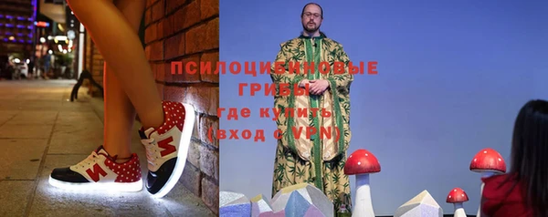 дживик Осташков