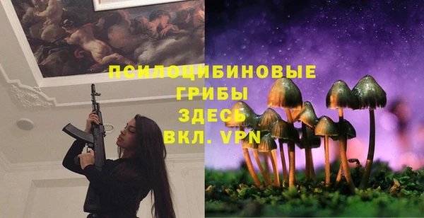 дживик Осташков