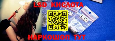 стаф Берёзовский