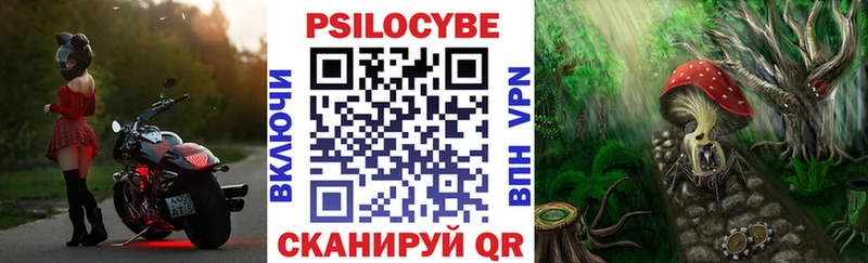 закладки  Тосно  Галлюциногенные грибы мицелий 