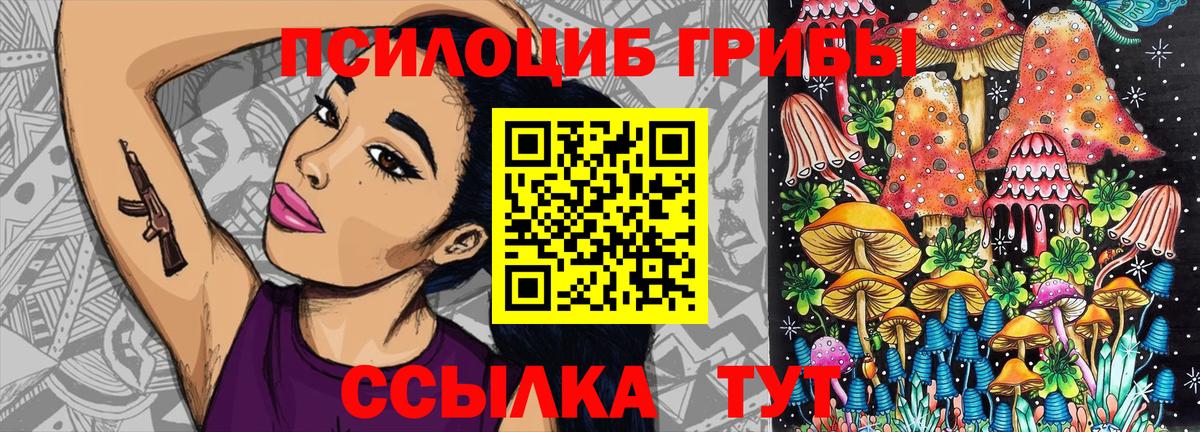 Галлюциногенные грибы GOLDEN TEACHER  Тосно 