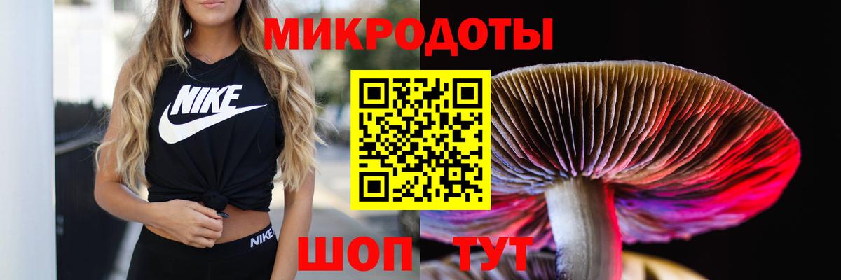 Псилоцибиновые грибы MAGIC MUSHROOMS  Галлюциногенные грибы MAGIC MUSHROOMS  Тосно  Вход с VPN 