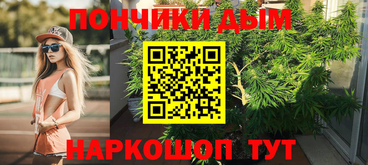 Бошки Шишки Amnesia  Конопля LSD WEED  Тосно  Каннабис MAZAR 